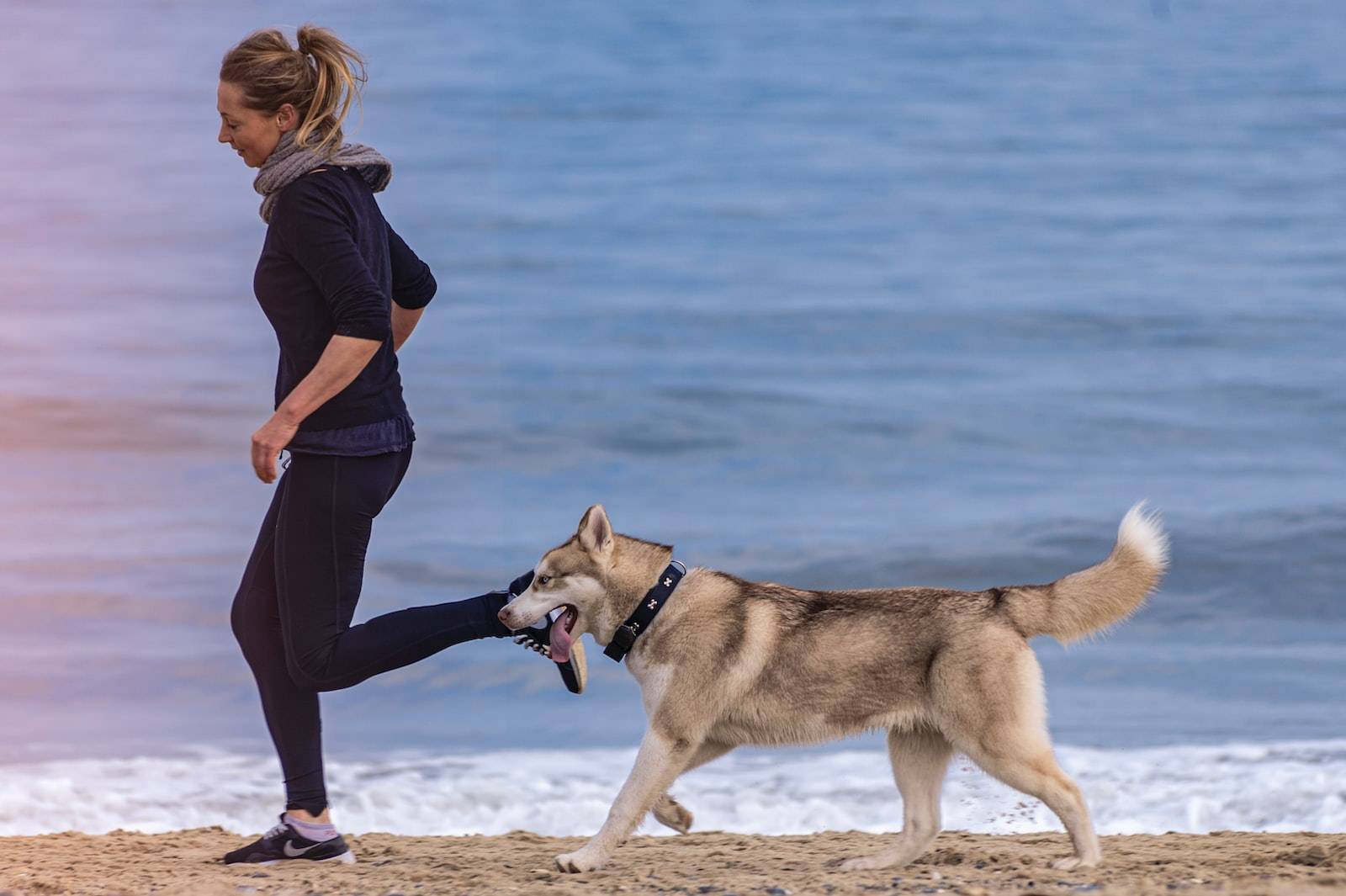 Boost Your Dog’s Health With Regular Exercise
